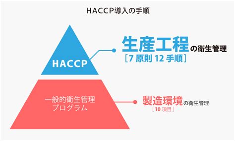 手順 基本的な原則 